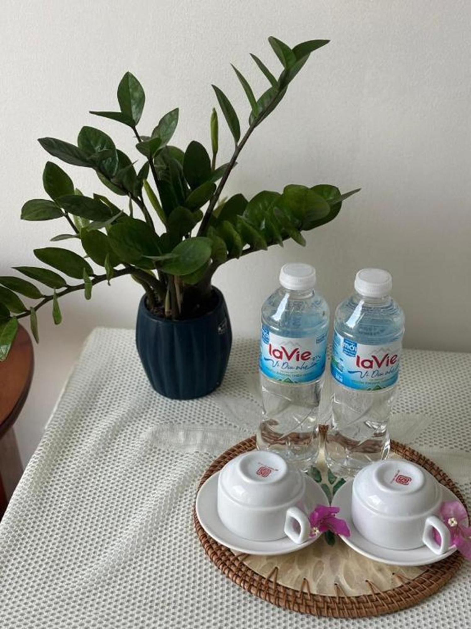 Good Morning Hoi An Homestay And Hostel エクステリア 写真
